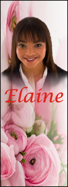 Elaine Sidebar